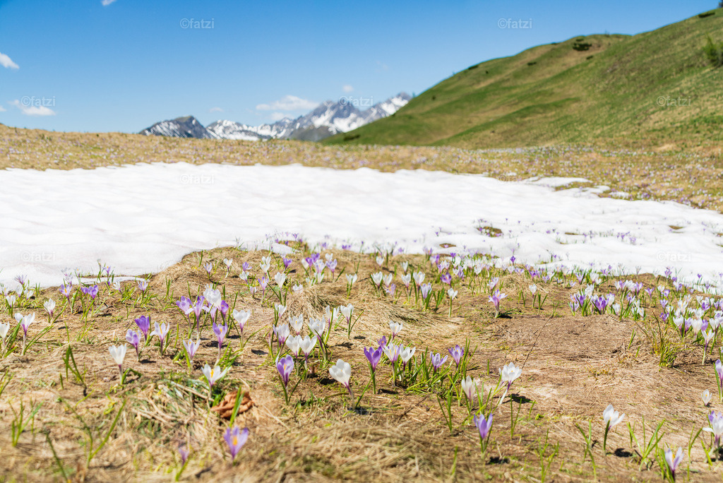 Lesachtal-Juni21_125430-Panorama-k | Fatzi Bilder-Archiv! 
Die Bilder sind für private Nutzung lizenzfrei. Die kommerzielle Nutzung ist möglich und erwünscht, jedoch bitte ich um vorherige Kontaktaufnahme per E-Mail (info@fatzi.at) oder unter +43 650 7828269 - Realisiert mit Pictrs.com