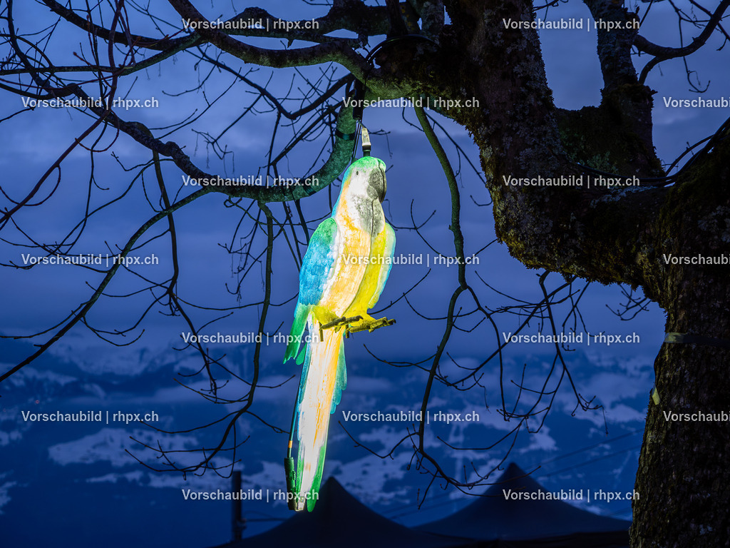 Rigi Lichtfestival 206 | Stimmungsvolle Fotokunst aus Luzern. Erlebe den Pilatus, den See und die Stadt Luzern in exklusiven Aufnahmen in der Fotogalerie & Shop. - Realisiert mit Pictrs.com