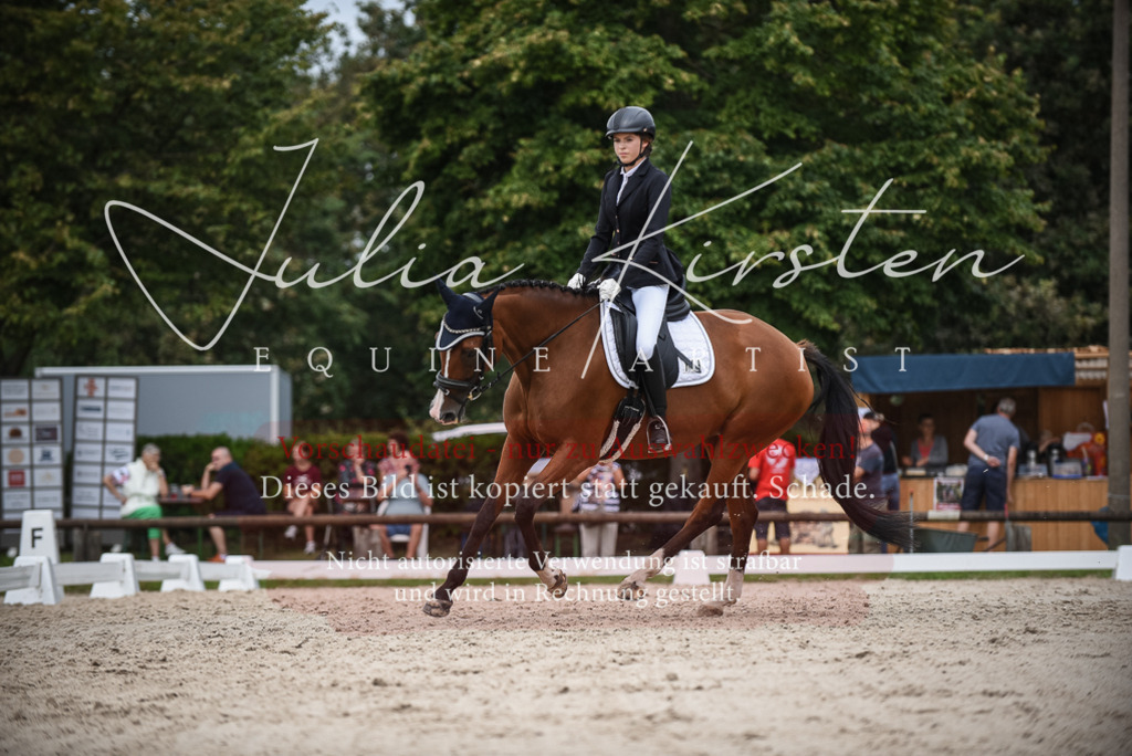 DSC_8429 | Pferde- und Turnierfotografie in Westsachsen. Pferdeportraits, Auftragszeichnungen und intuitive Kunst.