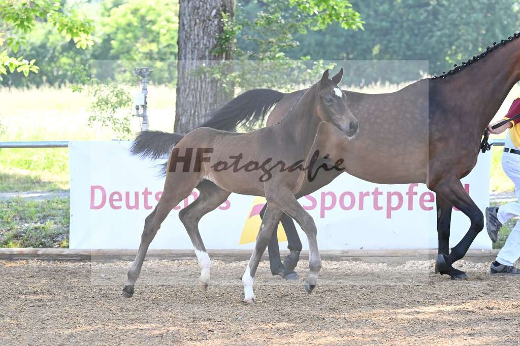 Kat-Nr. 2 SF Skyline to B_Schindele_14230049 | hf-fotografie - Realisiert mit Pictrs.com