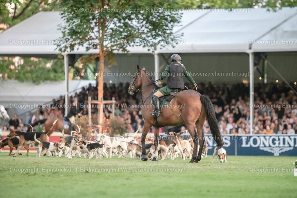 20230526_Pferdenacht_0540 | equistock