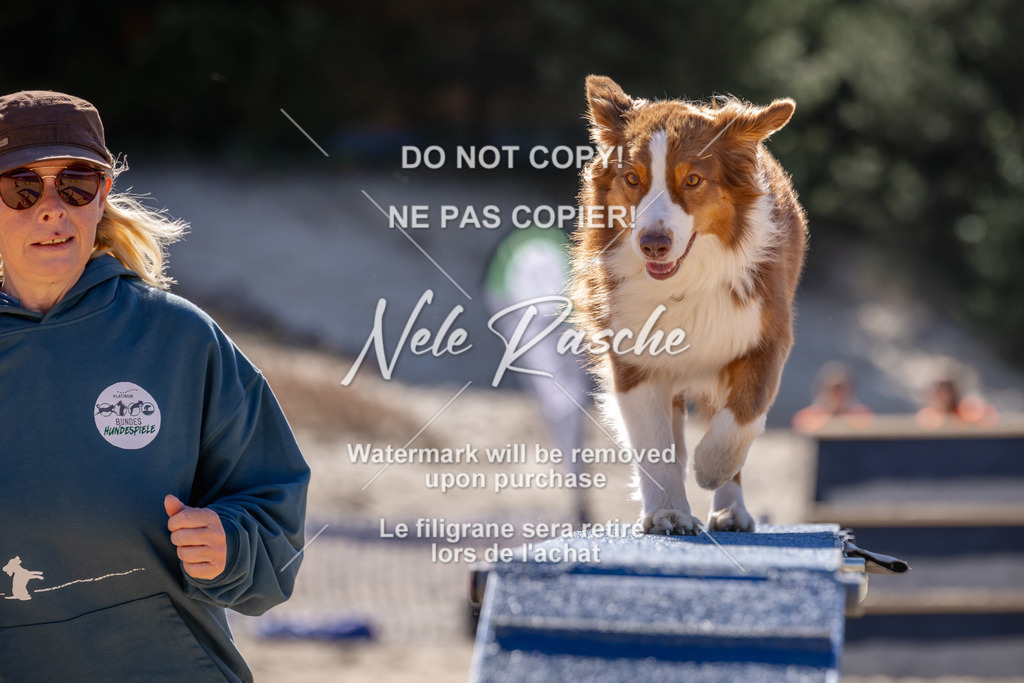 NR__0804 | nelerasche