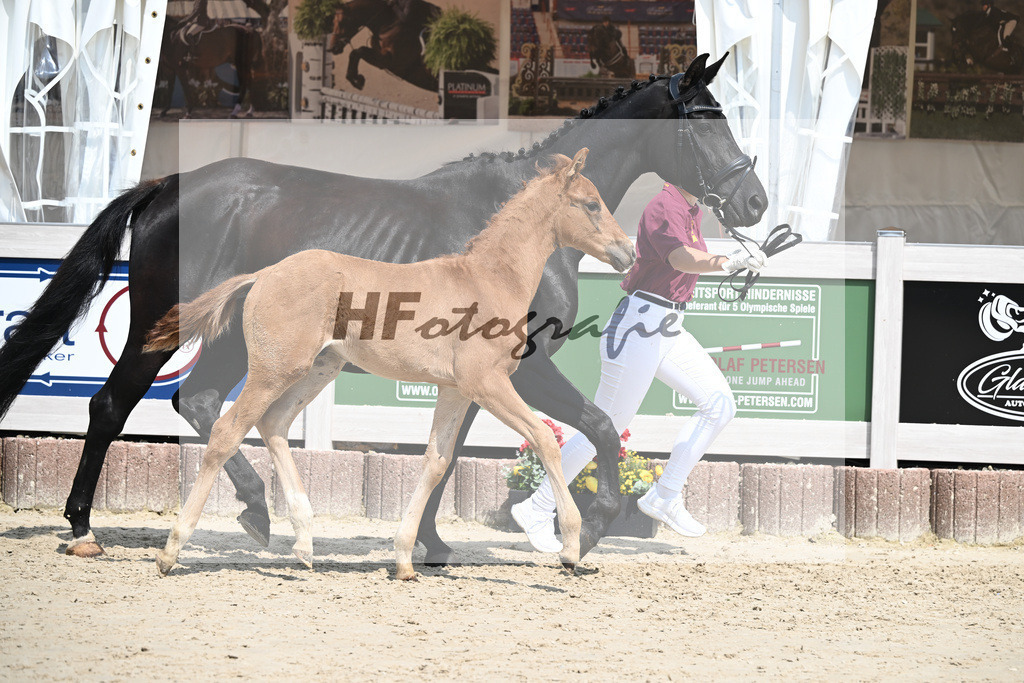 Viva Vegas x Top Gear_HF_Leder_12250470 | hf-fotografie - Realisiert mit Pictrs.com