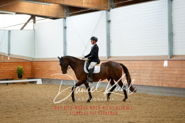 _62_6703 | Turniersportfotografie; Pferdefotografie; Dressurfotografie