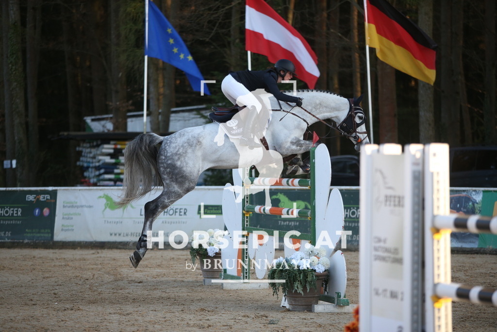 PP016541 | Willkommen bei Brunnmayr - Design & Fotografie – Ihrem Spezialisten für Reitturniere und Pferdeveranstaltungen in Oberösterreich, Salzburg und Bayern! Seit über 17 Jahren sind wir leidenschaftlich dabei.