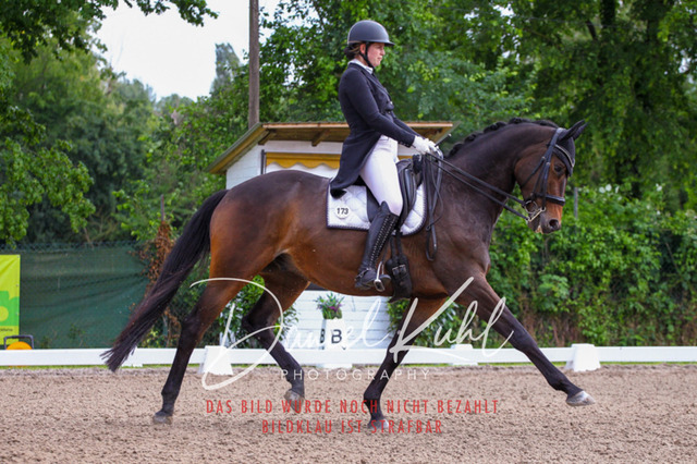 DKP41642 | Deine Turnierfotos vom Reitturnier online kaufen: Dressur, Springen & Siegerehrung. Professionelle Pferdefotografie aus dem Rheinland – als Download & Print.Alternative: Turnierfotograf für den Pferdesport: Finde deine Fotos von Dressur- und Springturnier