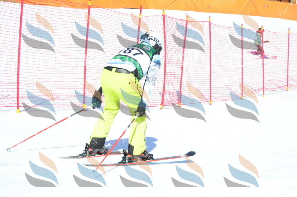 C6475 | holidayphoto