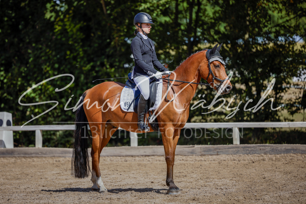 20250906-_3LI5152 | Tierfotografie Pferde, Hunde, Katzen, Haustiere.
Turnierfotografie Reitturniere, Reiten, Springreiten, Dressur in Hanau, dem Main-Kinzig-Kreis und dem Rhein-Main- Gebiet um Frankfurt