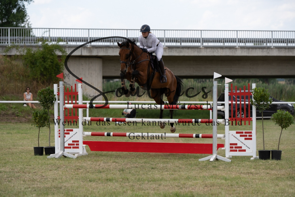 A7V02516 | Pferdefotograf