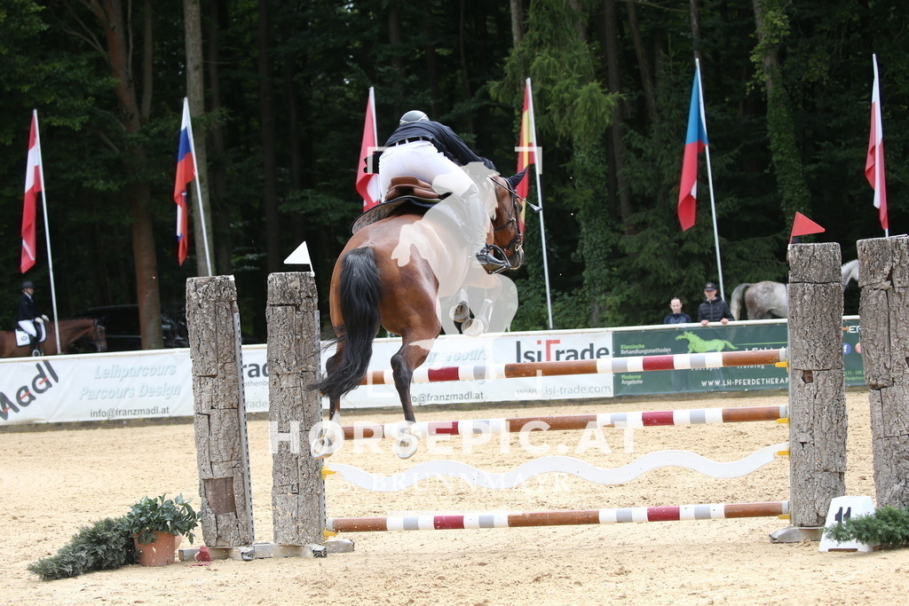 DL2Q2685 | Willkommen bei Brunnmayr - Design & Fotografie – Ihrem Spezialisten für Reitturniere und Pferdeveranstaltungen in Oberösterreich, Salzburg und Bayern! Seit über 17 Jahren sind wir leidenschaftlich dabei.