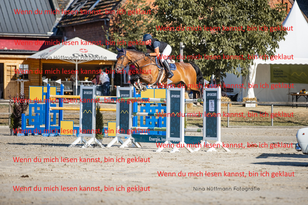 BK1A8665 | Turnierbilder Turnierfotos Nina Hüffmann Turnierfotografie Pferdefotografie Tierzeichnung Haustierzeichnung Pferdezeichnung Hundezeichnung Videograf  - Realisiert mit Pictrs.com