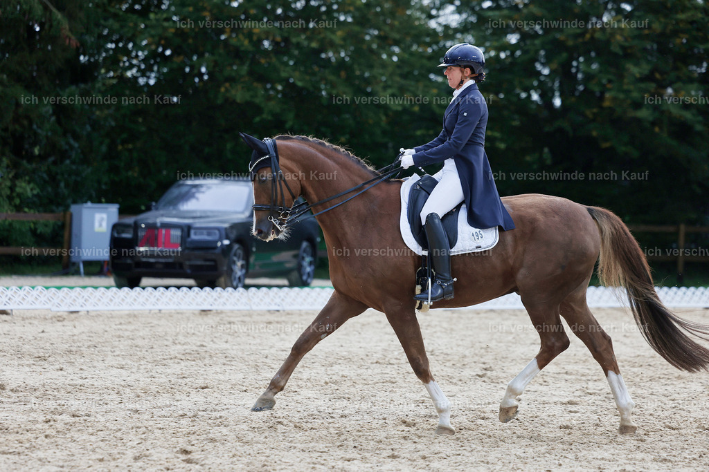 8_2-195-DRESSUR S_  -StoibPH-4525 | working equitationturnier fotograf videograf stoibphotography marixx film working equitation deutschland reitsport turnierfotografie eventfotografie equestrian events