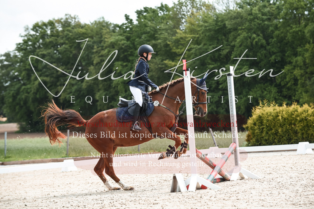 20230518_JK-Röhrsdorf-10-019 | Pferde- und Turnierfotografie in Westsachsen. Pferdeportraits, Auftragszeichnungen und intuitive Kunst.