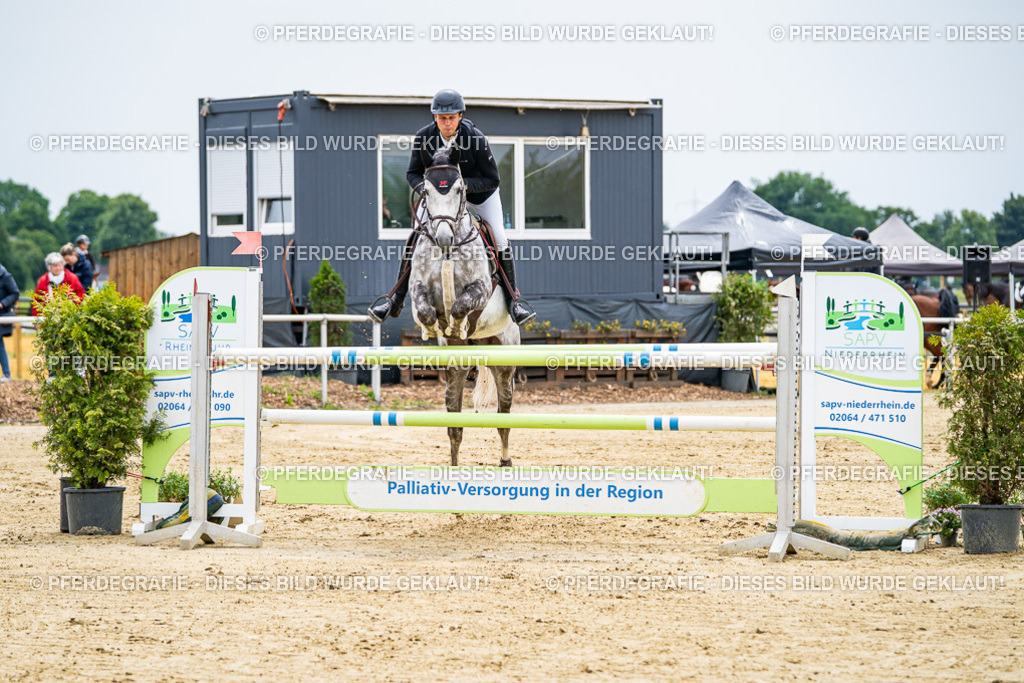 DSC06794 | Pferdegrafie