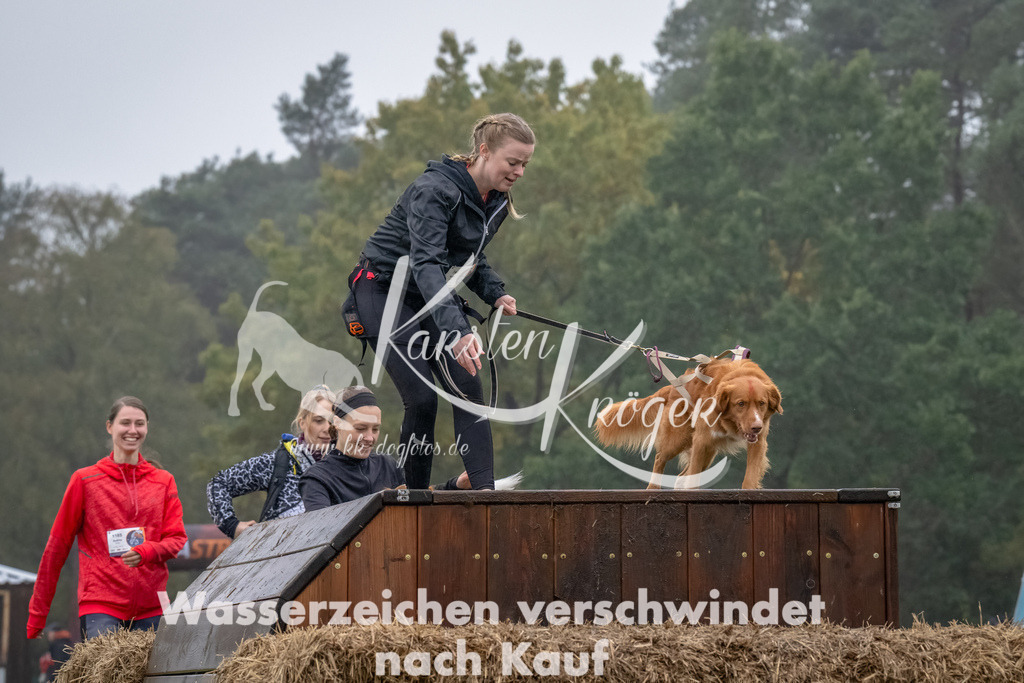 1244- | kk-dogfotos