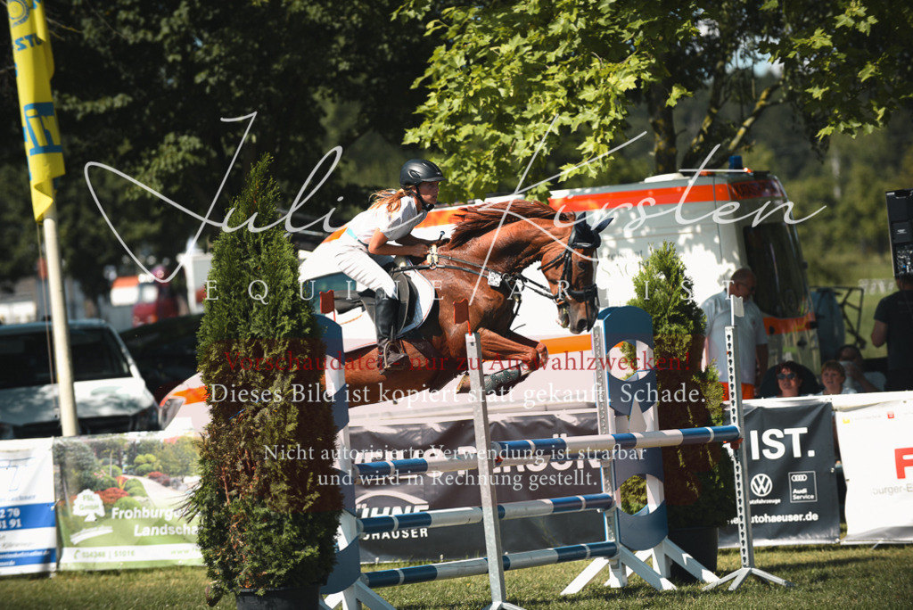 DSC_6864 | Pferde- und Turnierfotografie in Westsachsen. Pferdeportraits, Auftragszeichnungen und intuitive Kunst.