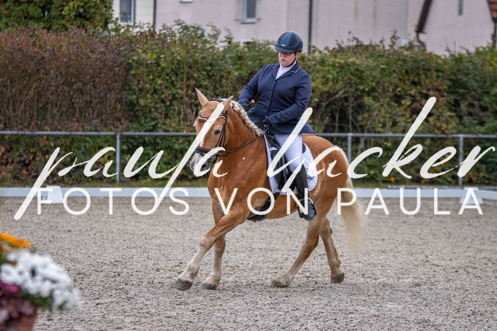 IMG_2416 | Erleben Sie dynamische Sport- und emotionale Tierfotografie in Süddeutschland mit Fotos von Paula. Spezialisiert auf Pferde- und Hundefotografie sowie Sportevents. Kontaktieren Sie mich für einzigartige und ausdrucksstarke Bilder Ihrer besonderen Momente. - Realisiert mit Pictrs.com
