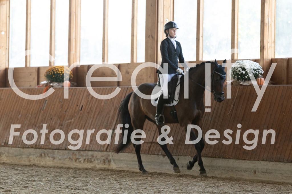 IMG_3780 | Creatify Fotografie