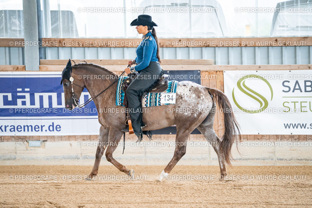 DSC01186 | Pferdegrafie