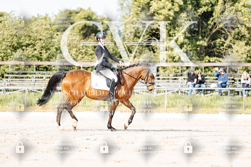 CK900005 | Turnierfotografie Pferdefotografie Trier Rheinland-Pfalz Pferdesport Reitsport Tierfotografie Sportfotografie Pferdevideo Pferdevideografie Equestrianvideography equestrianphotography  - Realisiert mit Pictrs.com