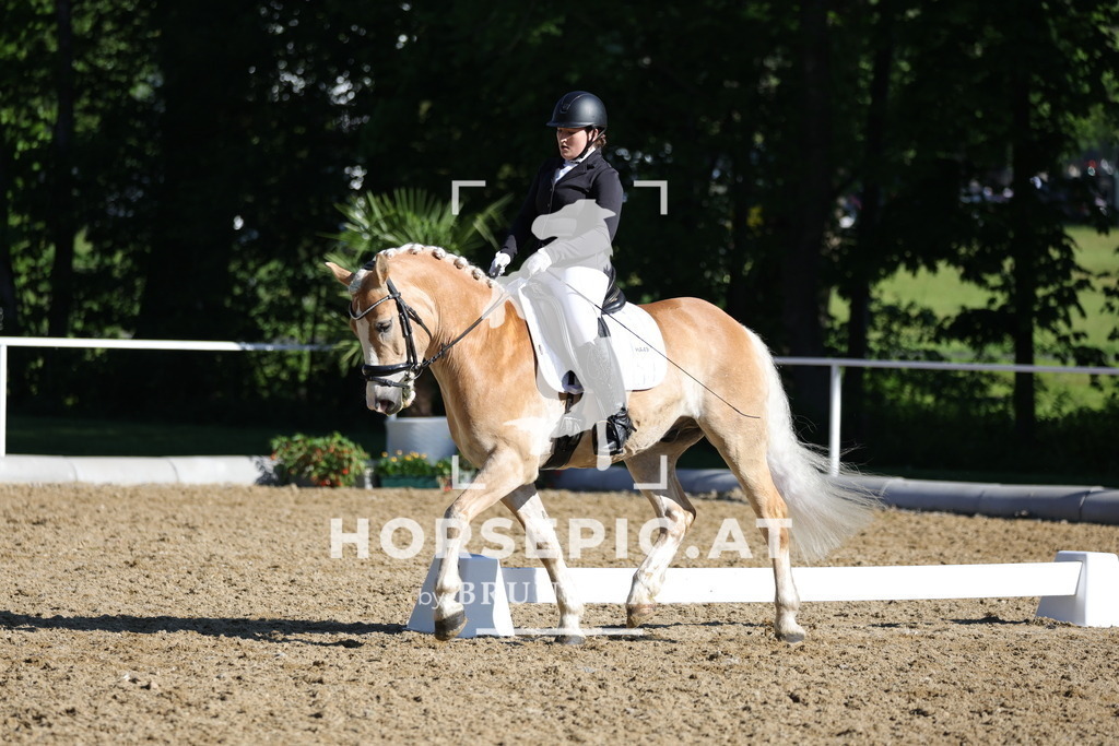 0P6A9345 | Willkommen bei Brunnmayr - Design & Fotografie – Ihrem Spezialisten für Reitturniere und Pferdeveranstaltungen in Oberösterreich, Salzburg und Bayern! Seit über 17 Jahren sind wir leidenschaftlich dabei.