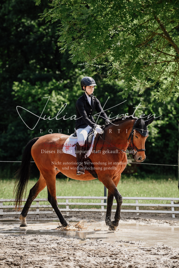 DSC_0957 | Pferde- und Turnierfotografie in Westsachsen. Pferdeportraits, Auftragszeichnungen und intuitive Kunst.