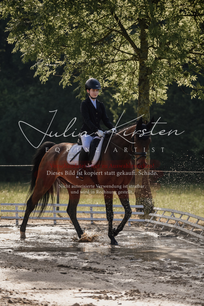 DSC_7937 | Pferde- und Turnierfotografie in Westsachsen. Pferdeportraits, Auftragszeichnungen und intuitive Kunst.