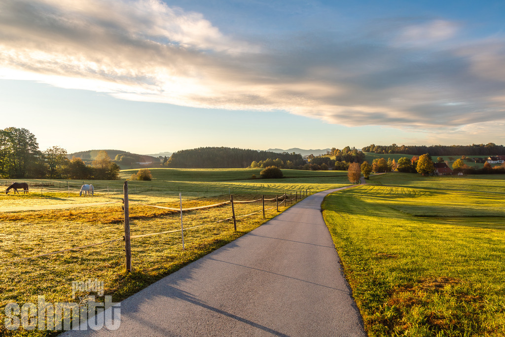 Pferdekoppel im Morgenlicht im Allgäu | Stimmungsvolle Pferdekoppel im sanften Morgenlicht des Allgäus, wenn die ersten Sonnenstrahlen die Wiesen und die umliegende Landschaft in warmes Licht tauchen. Eine ruhige und natürliche Aufnahme mit besonderer Morgenstimmung. - Realisiert mit Pictrs.com