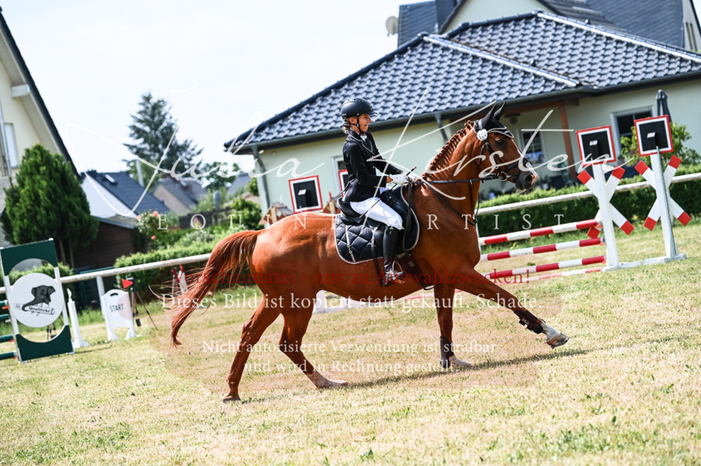 DSC_9188 | Pferde- und Turnierfotografie in Westsachsen. Pferdeportraits, Auftragszeichnungen und intuitive Kunst.