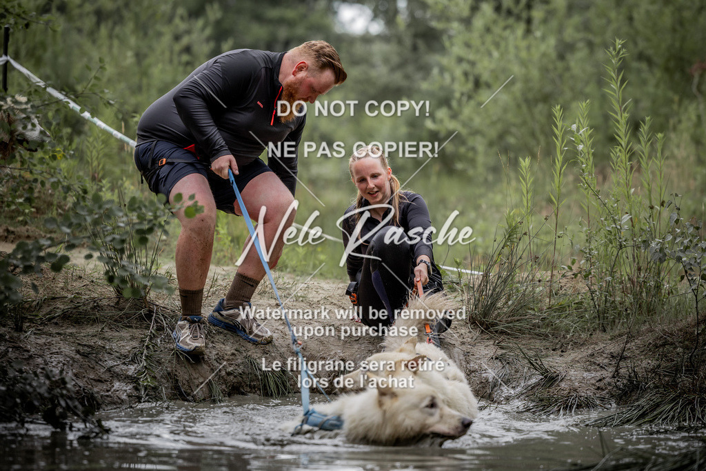 nelerasche_so0800-0930_441 | nelerasche