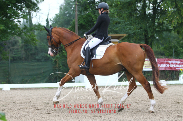 DKP40176 | Turniersportfotografie; Pferdefotografie; Dressurfotografie