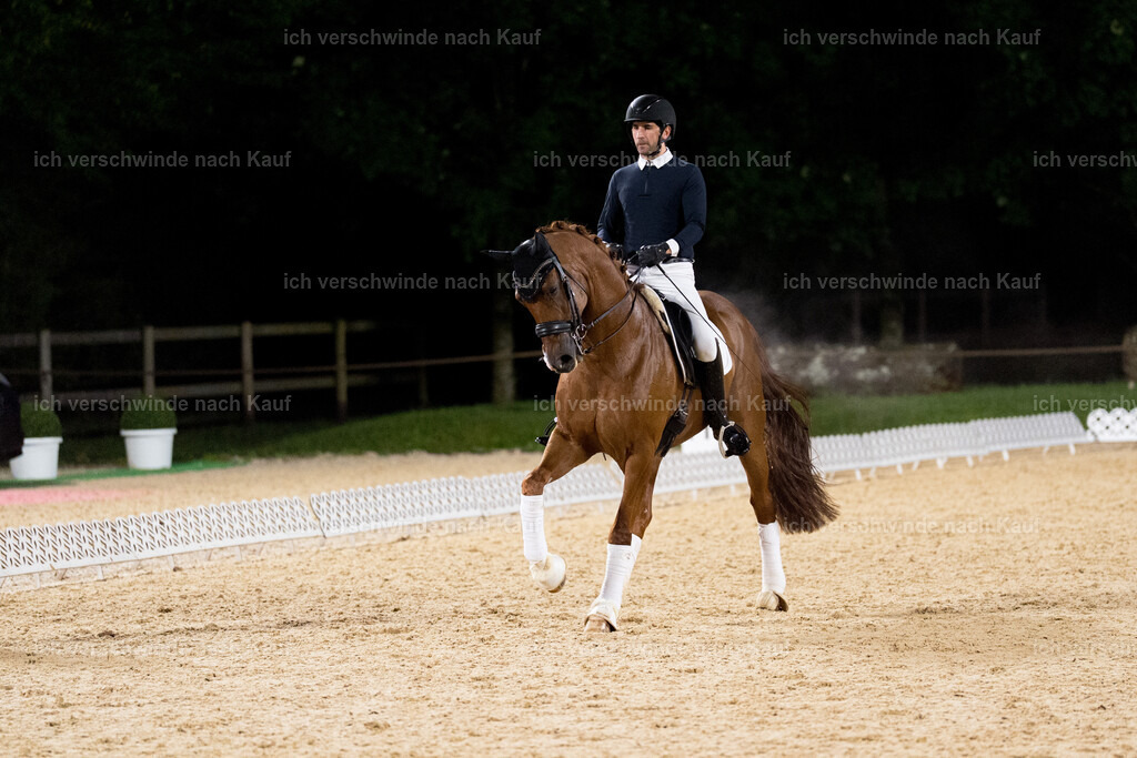 FHC2025 Isabell Werth-9936 | working equitationturnier fotograf videograf stoibphotography marixx film working equitation deutschland reitsport turnierfotografie eventfotografie equestrian events