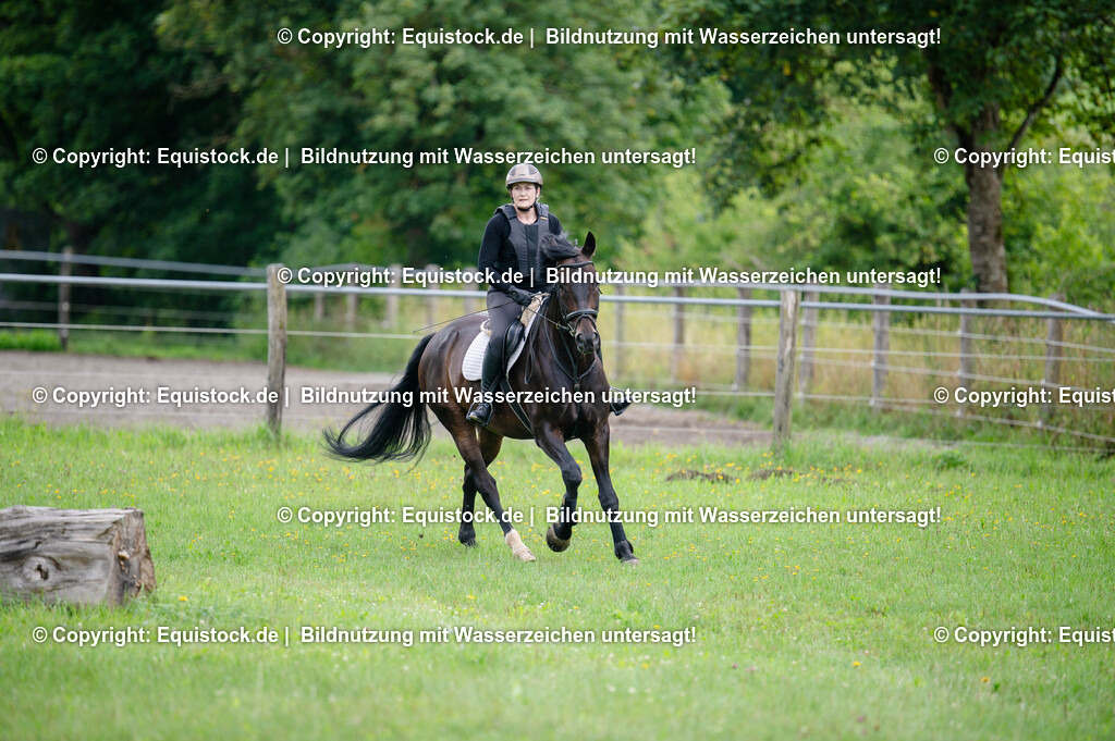 20250725_Vielseitigkeitslehrgang-Marbach_0108 | Foto: Thomas Hartig