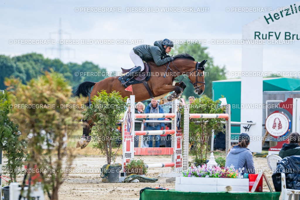 DSC05246 | Pferdegrafie