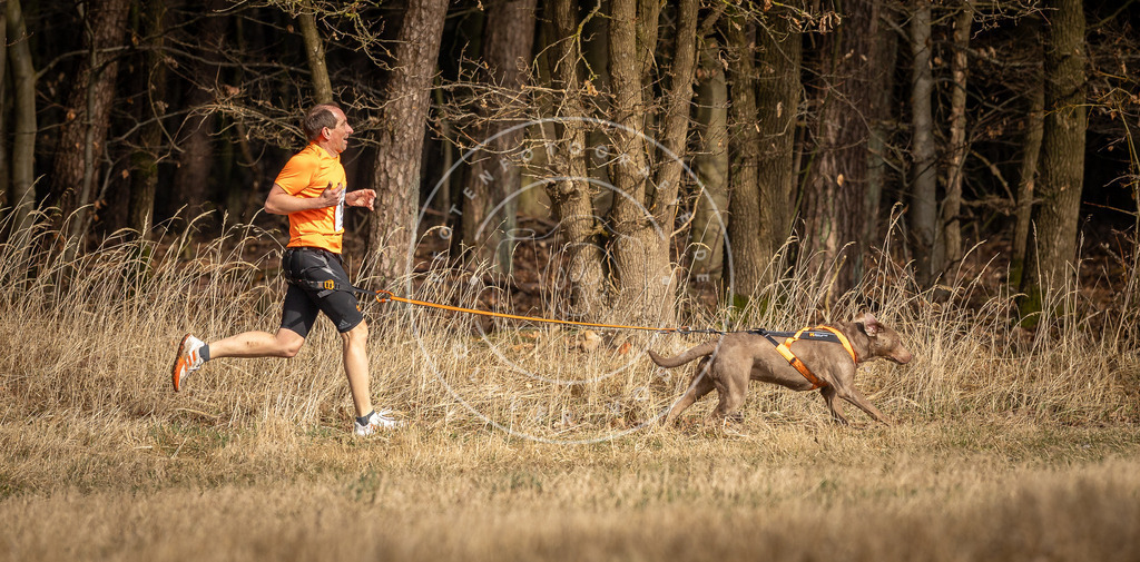 DV3A3947 | Hundefotografie, Tierfotograf, Pfotenfotografie, Fotoshooting Hund, Hunde Portrait, Hundesport, Hundeportraits, Heideshooting, Hunde, Sportfotograf, Hundefotograf, Turnierhundsport, THS,  - Realisiert mit Pictrs.com