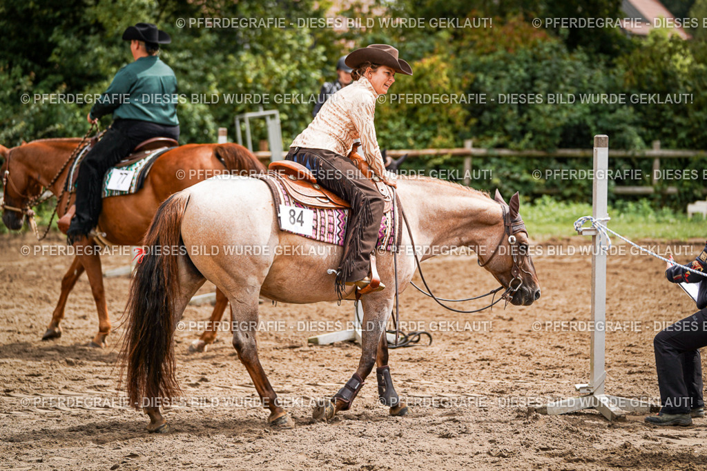 DSC04713 | Pferdegrafie