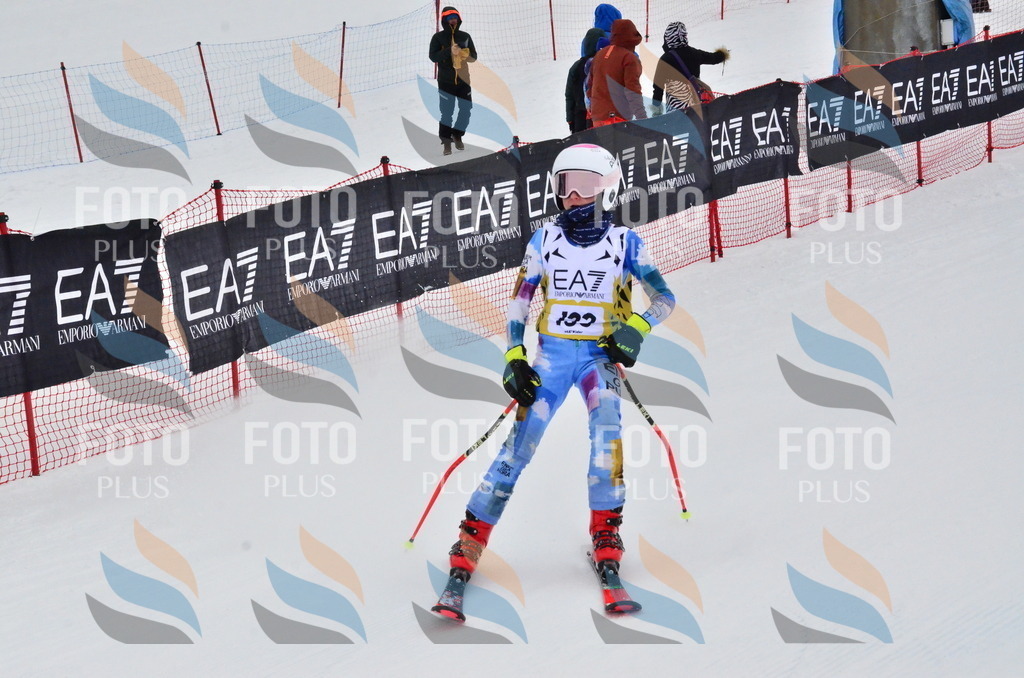 _ELE3728 | holidayphoto