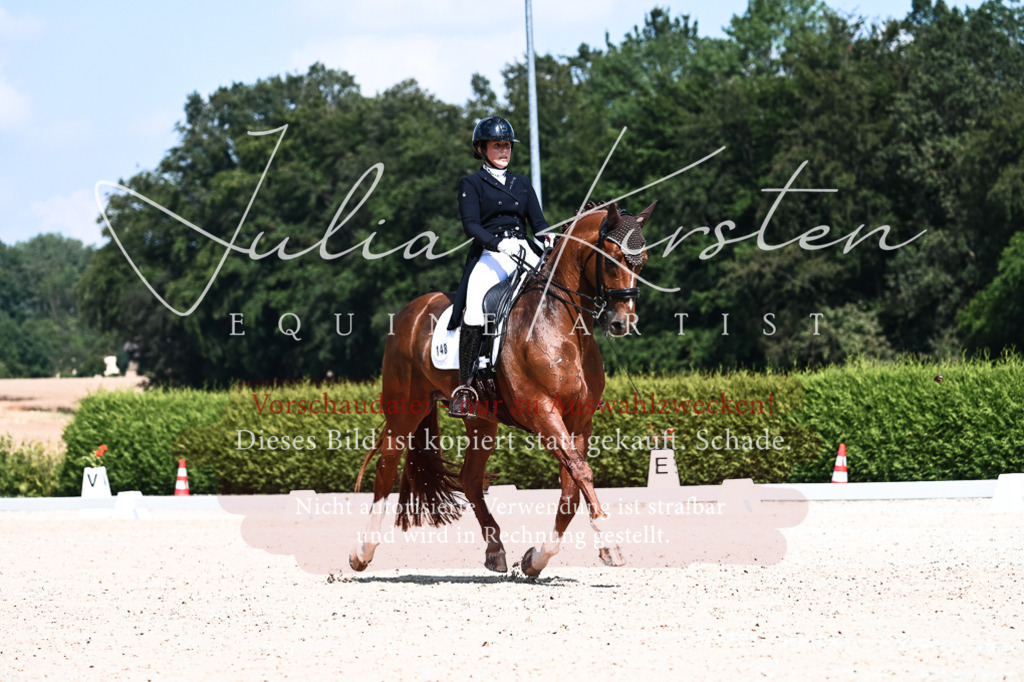 DSC_2841 | Pferde- und Turnierfotografie in Westsachsen. Pferdeportraits, Auftragszeichnungen und intuitive Kunst.