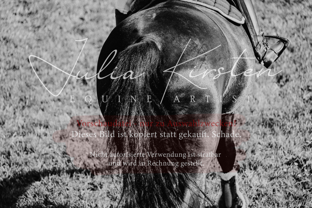 DSC_2510 | Pferde- und Turnierfotografie in Westsachsen. Pferdeportraits, Auftragszeichnungen und intuitive Kunst.