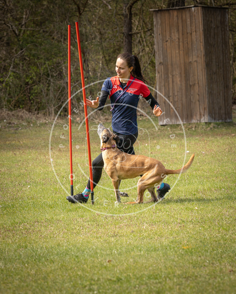 Pfotenfotografie_DV3A7479 | Hundefotografie, Tierfotograf, Pfotenfotografie, Fotoshooting Hund, Hunde Portrait, Hundesport, Hundeportraits, Heideshooting, Hunde, Sportfotograf, Hundefotograf, Turnierhundsport, THS,  - Realisiert mit Pictrs.com
