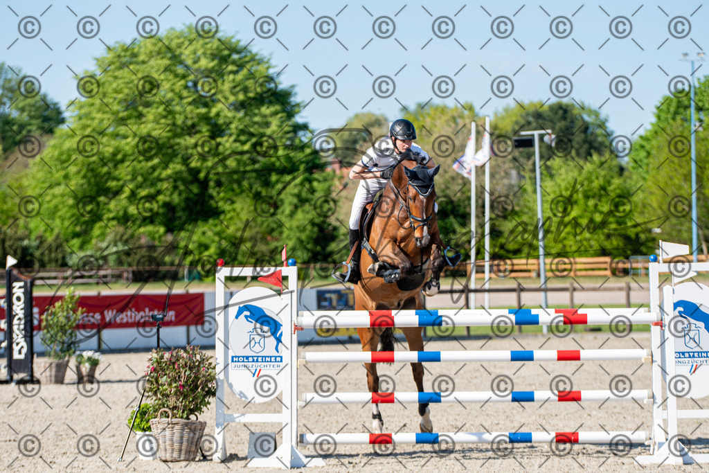 KPT_1850 | andre_photographic