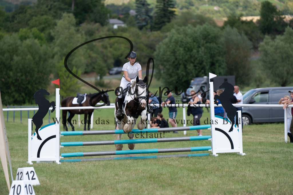 A7V00292 | Pferdefotograf