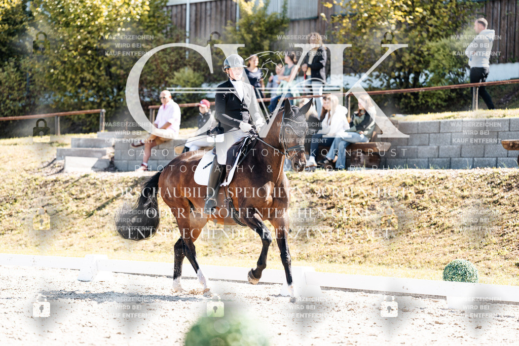 CK903457 | Turnierfotografie Pferdefotografie Trier Rheinland-Pfalz Pferdesport Reitsport Tierfotografie Sportfotografie Pferdevideo Pferdevideografie Equestrianvideography equestrianphotography  - Realisiert mit Pictrs.com
