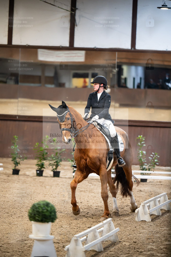 Hallenreittunier Voxtrup 2023 | Entdecke hochwertige Reitturnierfotos von Foto Oger. Professionell, emotional und authentisch – jetzt Lieblingsmomente im Shop bestellen. - Realisiert mit Pictrs.com