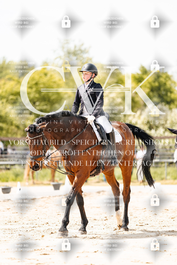 CK901910 | Turnierfotografie Pferdefotografie Trier Rheinland-Pfalz Pferdesport Reitsport Tierfotografie Sportfotografie Pferdevideo Pferdevideografie Equestrianvideography equestrianphotography  - Realisiert mit Pictrs.com