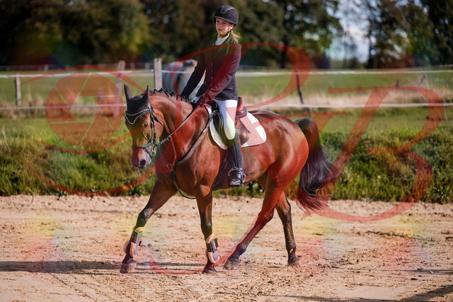 2026_10_03_Siefer-Hof_143552_Z81_05092586 | Professionelle Reitsport-, Turnier- und Eventfotografie von Robert Broda. Galerien mit ausgewählten und bearbeiteten Bildern direkt online ansehen und bestellen.