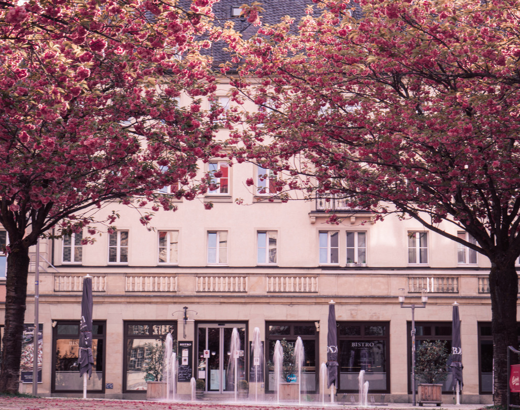 DSC03450 | frl-wunderlich - Realisiert mit Pictrs.com