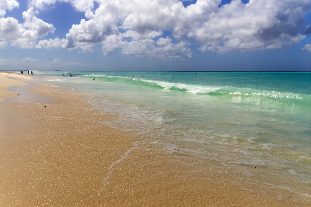 1H5A0331 | ansichtssache