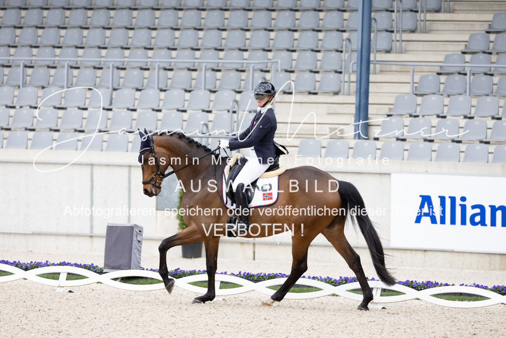 126A0920 | jasminmetznerfotografie