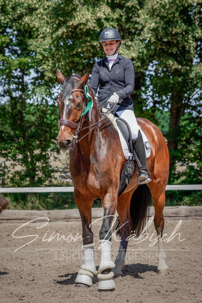 20250621-_3LI8876 | Tierfotografie Pferde, Hunde, Katzen, Haustiere.
Turnierfotografie Reitturniere, Reiten, Springreiten, Dressur in Hanau, dem Main-Kinzig-Kreis und dem Rhein-Main- Gebiet um Frankfurt